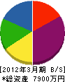 竹澤工務店 貸借対照表 2012年3月期
