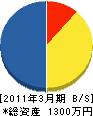 沖縄ビジョンサービス 貸借対照表 2011年3月期