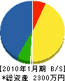 槌田造園土木 貸借対照表 2010年1月期