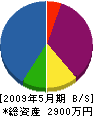藤田工業 貸借対照表 2009年5月期