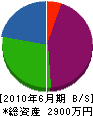 藤澤建設 貸借対照表 2010年6月期