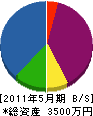 千司 貸借対照表 2011年5月期