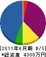 内田電気工事 貸借対照表 2011年6月期