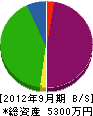 松井商事 貸借対照表 2012年9月期