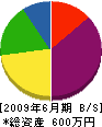 栗田塗装 貸借対照表 2009年6月期