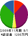 長谷川塗装店 貸借対照表 2009年11月期