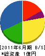 武田工務店 貸借対照表 2011年6月期