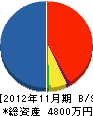 佐賀建設 貸借対照表 2012年11月期