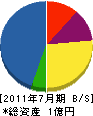 大昭鋼建 貸借対照表 2011年7月期