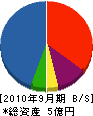 ヤブシタ 貸借対照表 2010年9月期
