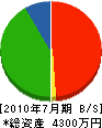 山田建設 貸借対照表 2010年7月期