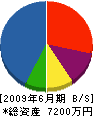 渡辺土木 貸借対照表 2009年6月期