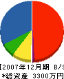 斎藤建設 貸借対照表 2007年12月期