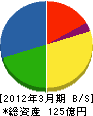 東日本システム建設 貸借対照表 2012年3月期