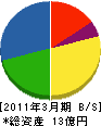 森崎 貸借対照表 2011年3月期