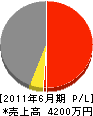 岩田工業 損益計算書 2011年6月期