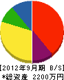 沢田設備 貸借対照表 2012年9月期