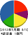 ミズヨケ 貸借対照表 2012年5月期