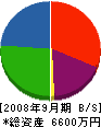 渡邊塗装 貸借対照表 2008年9月期