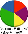 渡辺商事 貸借対照表 2010年8月期