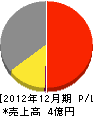 日中商事 損益計算書 2012年12月期