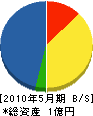 カケムラ 貸借対照表 2010年5月期