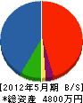 湘南興業 貸借対照表 2012年5月期