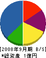 江澤建材興業 貸借対照表 2008年9月期