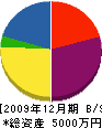 松栄建設 貸借対照表 2009年12月期