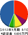 ナカノ電気商会 貸借対照表 2012年9月期