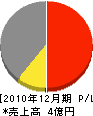東亜電工 損益計算書 2010年12月期