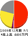 浜田建装 損益計算書 2009年12月期