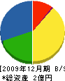 関西土建 貸借対照表 2009年12月期