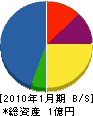 昭和通信サービス 貸借対照表 2010年1月期