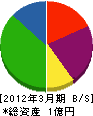 勝斎藤建設 貸借対照表 2012年3月期