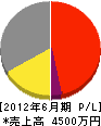 森田電気 損益計算書 2012年6月期