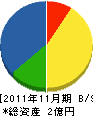 小泉建築 貸借対照表 2011年11月期