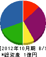 奥井工務店 貸借対照表 2012年10月期