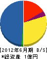 川田組 貸借対照表 2012年6月期