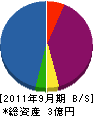 中村シラトリ 貸借対照表 2011年9月期