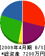 浪江電設 貸借対照表 2009年4月期