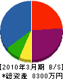 宮嵜塗装工業 貸借対照表 2010年3月期