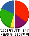 ミヤタケ 貸借対照表 2009年3月期
