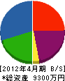 安田商店 貸借対照表 2012年4月期