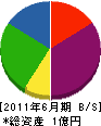 小澤忠商店 貸借対照表 2011年6月期