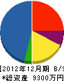 タケウチ－工務店 貸借対照表 2012年12月期