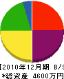 竹田工務店 貸借対照表 2010年12月期