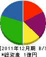 江藤設備 貸借対照表 2011年12月期