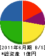 平田組 貸借対照表 2011年6月期