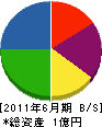 鶴電工業 貸借対照表 2011年6月期